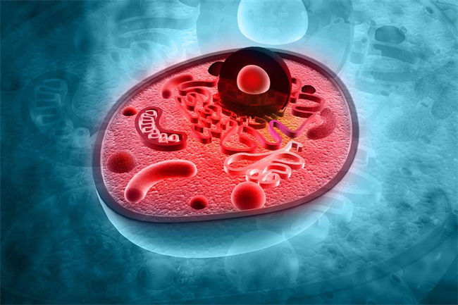 細胞營養(yǎng)液